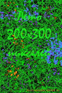 Лето 200х300 px.